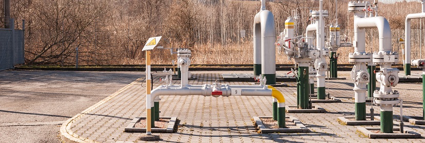 有什么簡便的方法檢測口腔細菌 ?有關(guān)菌落總數(shù)檢測問題都在這里~?健明迪