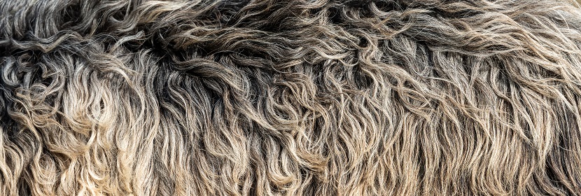 ROHS檢測(cè)產(chǎn)品范圍和ROHS需要準(zhǔn)備的資料?ROHS檢測(cè)認(rèn)證是什么