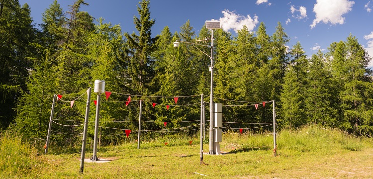 桶裝水微生物指標(biāo)檢測(cè)；常規(guī)化驗(yàn)指標(biāo)測(cè)試?微生物測(cè)試片定性檢驗(yàn)操作視頻?健明迪