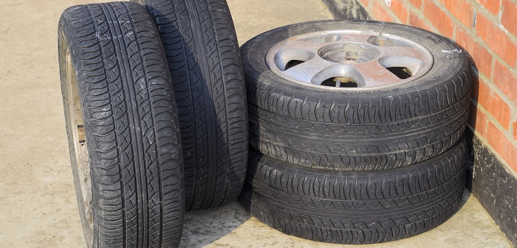 海洋調(diào)查規(guī)范：海洋生物調(diào)查工作如何進行 