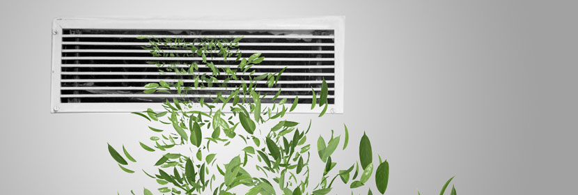 調節腸道干細胞分化基因小鼠譜系示蹤模型