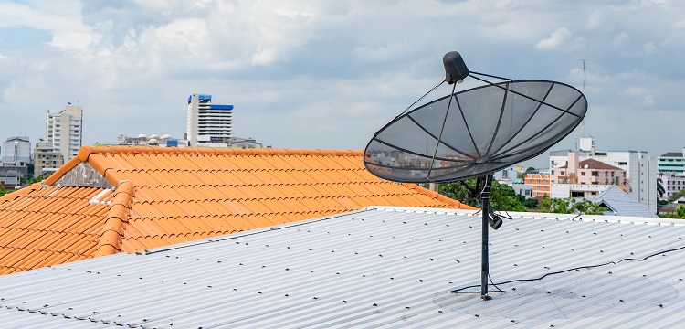 青藤堿檢測(cè)