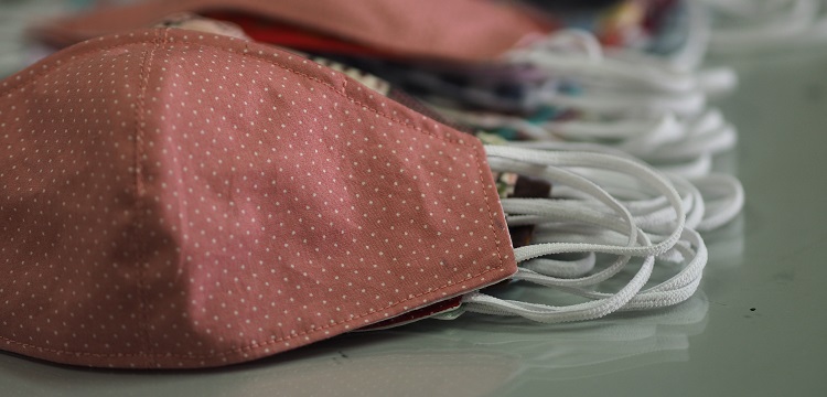 DEX誘導腭裂模型