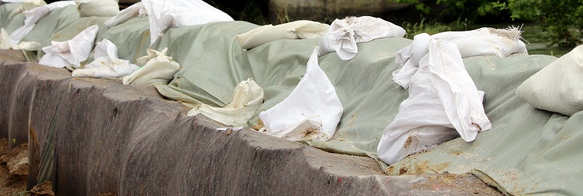 小鼠剛果紅廓清實(shí)驗(yàn)?zāi)Ｐ?><p>小鼠剛果紅廓清實(shí)驗(yàn)?zāi)Ｐ?/p></a></div>			
				
									<div   id=