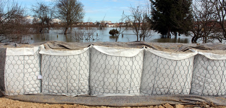 大鼠肥大細胞脫顆粒及組胺釋放模型