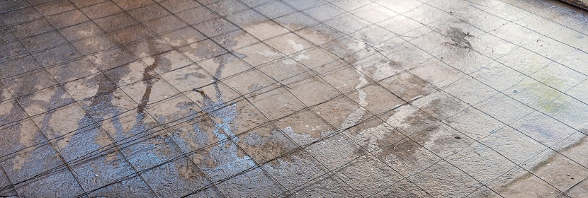 白坯布檢測(cè)