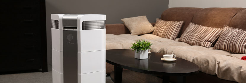 過氧化苯甲酸叔丁酯檢測