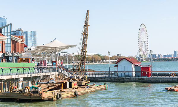 三(羥甲基)甲基甘氨酸檢測