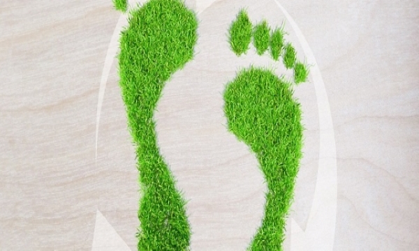 硫酸亞鐵銨檢測