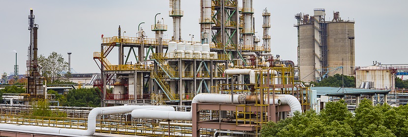 反應(yīng)艷黃檢測