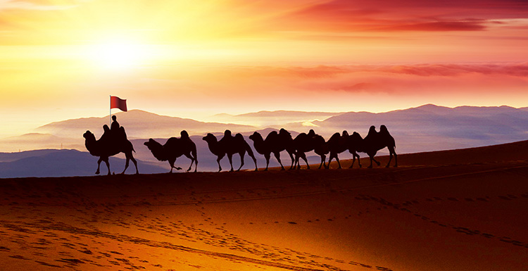 氟膠板檢測報(bào)告