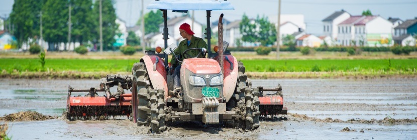 高碳鋼檢測(cè)