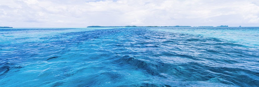 生態(tài)毒理測(cè)試