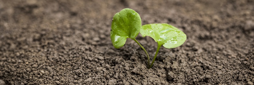 農(nóng)藥酸度測定