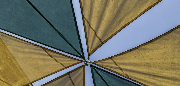 藻酸鹽檢測(cè)