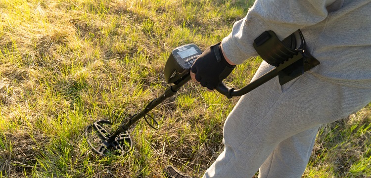 植物磷檢測(cè)