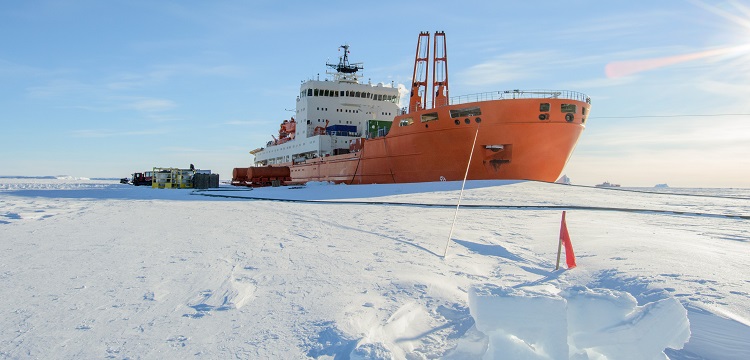 總脫碳層深度檢測