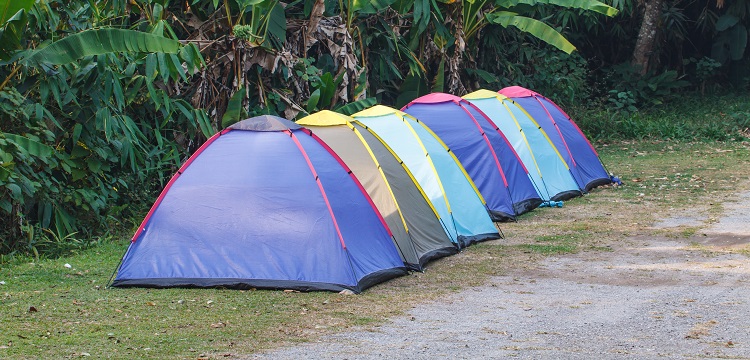 光學(xué)和輻射檢測