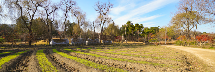醫療射頻設備檢測