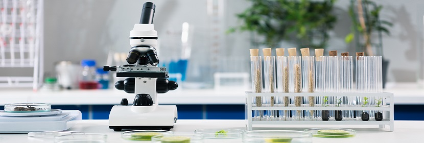 極限氧指數(shù)測(cè)試