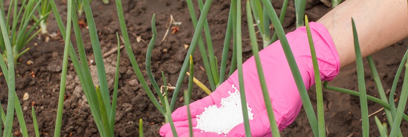 肥料級氰氨化鈣檢測