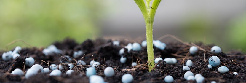 高爾夫球場草坪專用土壤調(diào)理劑檢測