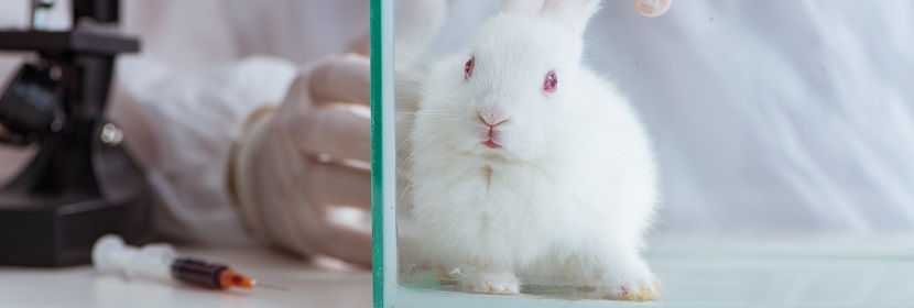 醫療器械陰道黏膜刺激試驗