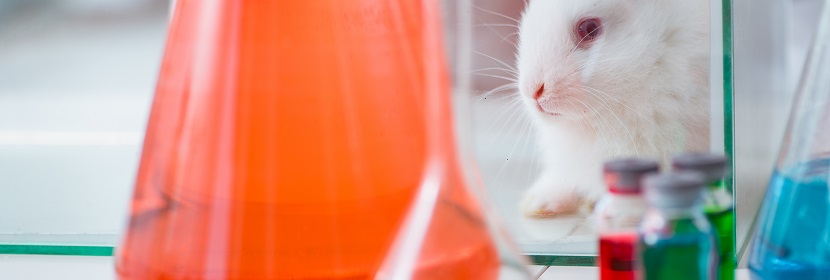 空氣消毒劑急性經口毒性試驗