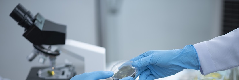 熱塑性EVA膠膜檢測