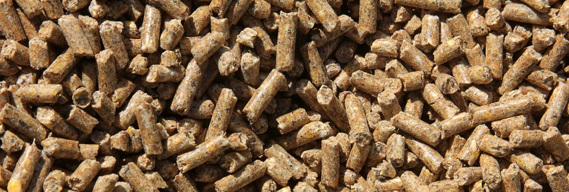 飼料中多氯聯(lián)苯檢測(cè)