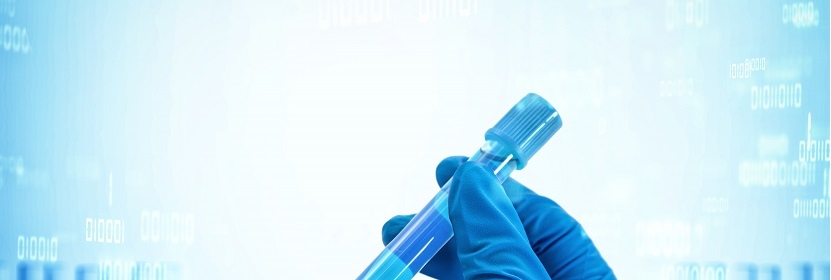 板式熱交換器用橡膠密封墊片檢測