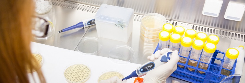 聚碳酸酯樹(shù)脂檢測(cè)