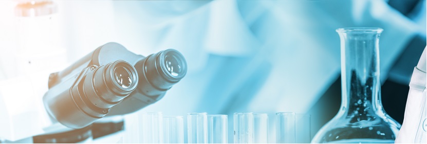 EVA熱熔膠粘劑檢測